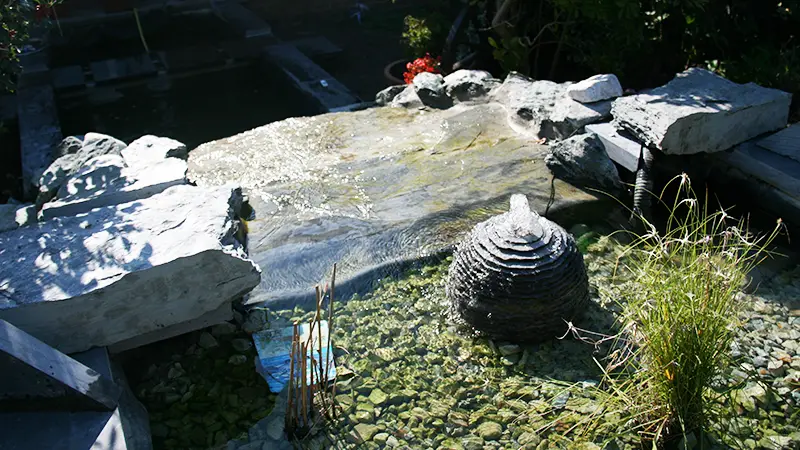 Etang dans un jardin verdoyant