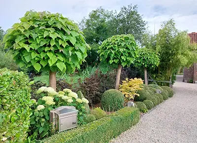 Jardin éclairé la nuit