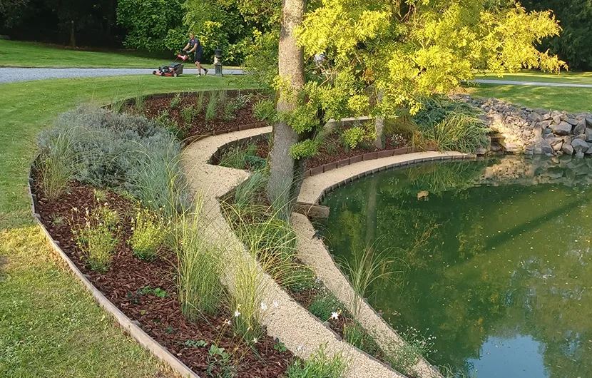 Jardin fleuri avec lumières