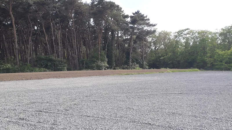 Etang dans un jardin verdoyant